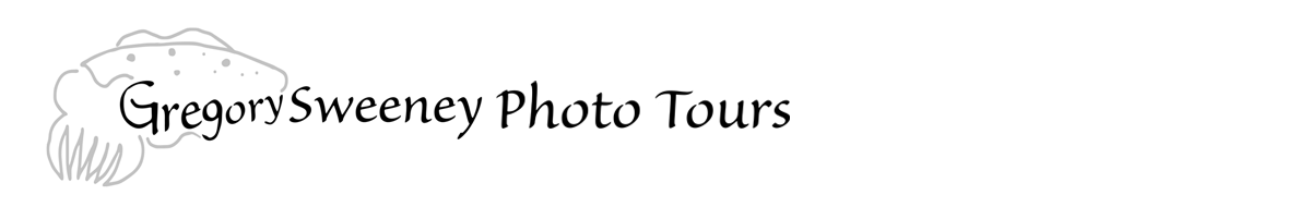 Gregory Sweeney Photo Tours Logo