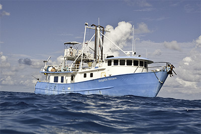 Our boat, the MV Dolphin Dream
			  